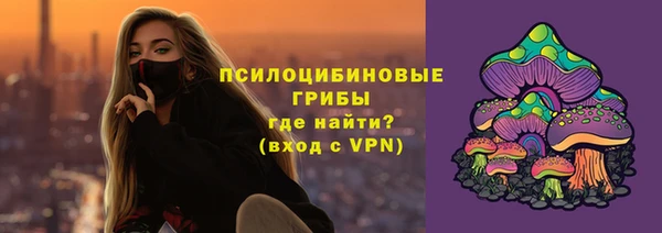 спиды Бородино