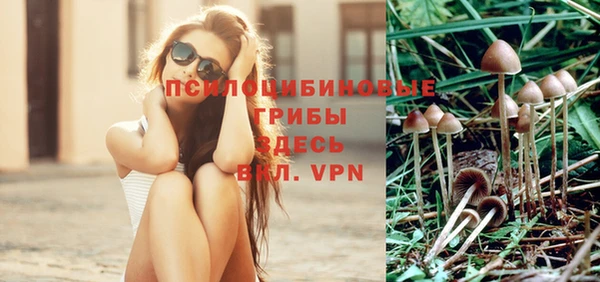 первитин Бугульма