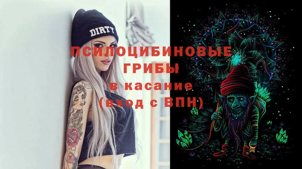 спиды Бородино