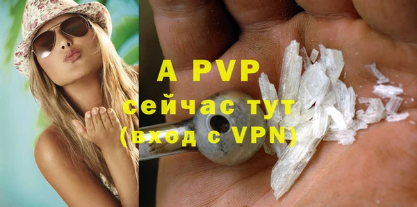 спиды Бородино