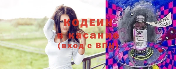 спиды Бородино