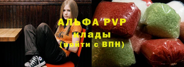 спиды Бородино